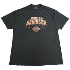 K*様 ハーレーダビッドソン 両面プリント Tシャツ ラシュモア山 XL