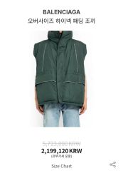 今週までの最終価格 登坂広臣着用 BALENCIAGA コクーンダウンベスト