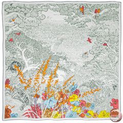 新品未使用 エルメス カレジェアン カシシル 自然回帰 - メルカリ