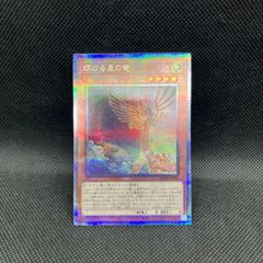 遊戯王 神聖魔皇后セレーネ 25th クォーターセンチュリーレア - メルカリ