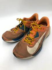 NIKE ナイキ FV6040-800 エア ズーム ライバル フライ 4 ローカット スニーカー size28cm/オレンジ ■■ メンズ