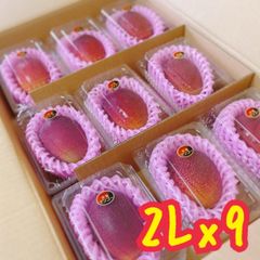 宮崎産 完熟マンゴー 2kg バラ詰め - メルカリ