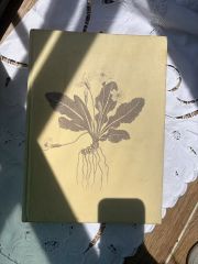 ビンテージ植物画集3冊セット - メルカリ