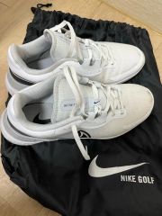 Nike ゴルフシューズ ルナ コントロール ヴェイパー 2 29cm ケース付