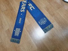 2026 FIFAワールドカップ 公式 Dallas ファンスカーフ - メルカリ