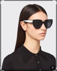 Prada サングラス SPR 14W キャットアイ セルフレーム フルリムロゴ