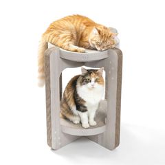 猫壱】猫と葉っぱ柄 ウォーターボウル 350ml - メルカリ