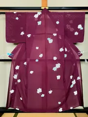 249B【アンティーク着物】夏物 小紋 絽 臙脂色 木の葉文様 カジュアル リメイク素材にも