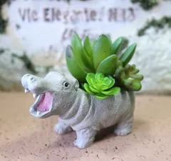 ニールプェールポット　Sサイズ　カバ　植木鉢　ガーデニング　友膳　友膳植木鉢　多肉植物