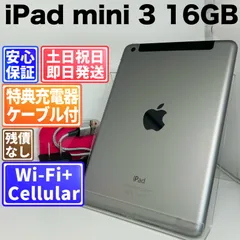 iPad mini 3 16GB スペースグレイ SIMフリー(simロック解除済) 白ロム 中古 本体 動作確認済  【最短送料無料】G5-173