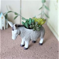 値下げ☆ミニサイズ☆多肉植物☆寄せ植え☆そのまま飾れる☆うさぎさん