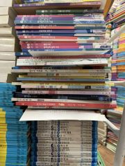 値下げ リトル天才 ドルジャビシリーズ(名画+数学＋英語)まとめ売り