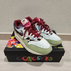 Nike x Concepts Air Max 1 SP Mellow 26cm - メルカリ