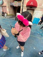 ディズニー チェシャ猫 ヘアバンド ぬいぐるみ しっぽ - メルカリ