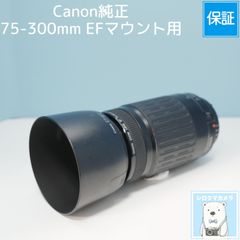 Yashica ML 300mm f/5.6 ヤシカ コンタックス YCマウント - メルカリ