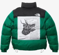 M シュプリーム ザノースフェイス シュノ ヌプシ ダウン ジャケット グリーン 24FW