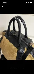 アレキサンダーワングのサムネイル