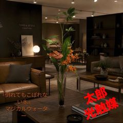 光触媒 人工観葉植物 ウォールグリーン フェイクグリーン アスパラガス