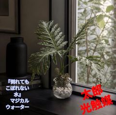 光触媒　人工観葉植物　ウォールグリーン　フェイクグリーン　アスパラガスガーランド 光触媒 人工観葉植物 ウォールグリーン フェイクグリーン アスパラガス