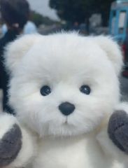 DITZ ポーラーベアー親子ぬいぐるみ - メルカリ