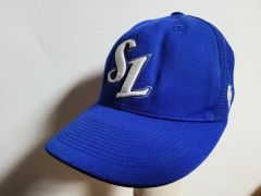 激レア】ヤクルトスワローズ 池山隆寛監督 直筆サイン入り キャップ 