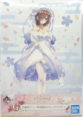 BANDAI SPIRITS 이치 반 쿠지 오등분의 신부 ∬ BrideStyle G상 나카노 미츠키 시라노시 어레인지 일본화 그려진 일러스트 보드