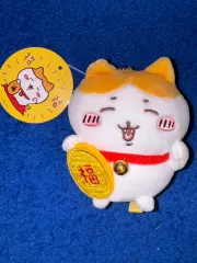 ハチワレ、ハチワレ、下ハチワレ