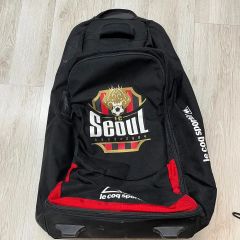 とらさん☆様専用 優勝記念 レア 阪神タイガース キャリーバッグ 遠征
