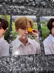 straykids リノ NOEASY 限定盤
