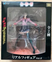 化物語 戦場ヶ原ひたぎ フィギュア