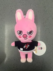 スキーSKZOO 20cm DWAEKKI(トゥエッキ) 開封のみ 展示 Stay in STAY バージョン