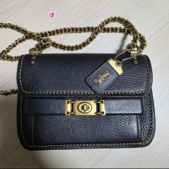 ✨美品✨コーチ ショルダーバッグ ジョージークロスボディ 馬車金具 