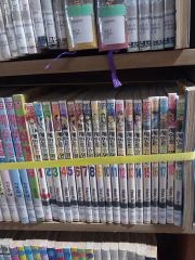 手塚治虫、赤塚不二夫、藤子不二雄、水木しげる、楳図かずお、松本零士