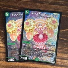 チアスカーレットアカネ 2枚 - メルカリ
