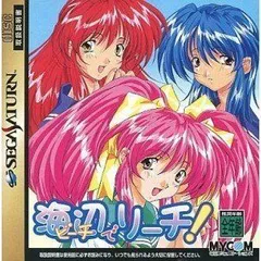 2026年最新】海辺 でリーチ! DSの人気アイテム - メルカリ