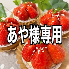 あや様専用ページ✨ミニパフェ＆タルト✨