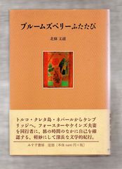 古書・古本】聖談とヌードの風景☆戸川昌子（KKベストセラーズ