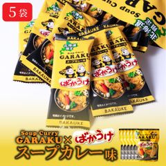 北海道 スープカリーせんべい 10袋 大容量 北海道限定スープカレー