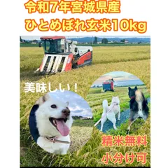 令和7年宮城県登米市産ひとめぼれ玄米10kg精米無料 小分け可 農家直送 色彩選別完備 特別栽培米基準のサムネイル