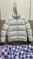リー ダウンのサムネイル