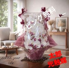 光触媒 人工観葉植物 ウォールグリーン フェイクグリーン 胡蝶蘭6134
