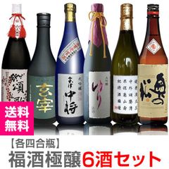 日本酒 空瓶 6本セット 十四代 鍋島 花陽浴 他 日本酒 空瓶 6本セット 十四代 鍋島 花陽浴 他 - メルカリ