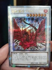 遊戯王 泰亜版 スカーレッド・ハイパーノヴァ・ドラゴン プリズマ