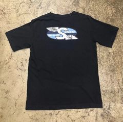 Disneyland SOARIN