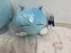み*あ様 ミニリュウ 等身大ぬいぐるみ（抱き枕）条件達成おまけ付き