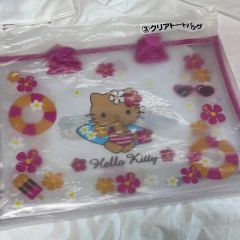 ハローキティ 日焼け キティ ハイビスカス ボード ポーチ ケース 