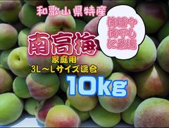 ★ 和歌山県産[紀州南高梅]★10kg最高級品種‼️3L〜5L大粒‼️秀品.優品混合 ☆ 和歌山県産[紀州南高梅]☆10kg最高級品種‼️3L〜5L大粒‼️秀品.優品