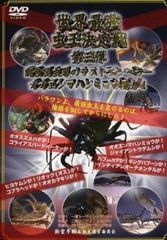 世界最強虫王決定戦 巨大カブトvs巨大クワガタ～勇者伝説～ - メルカリ