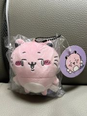DAY6 デニマルズ SECRET MINI PLUSH ヨンケイ コンプ - メルカリ