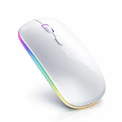 マウス ワイヤレス Mouse Bluetooth5.2/2.4G 両対応 充電式 静音 薄型 高感度 3DPI切替 RGB LEDライト 電量表示 無線 ゲーミングマウス Notebook, PC, Laptop など多機種対応 (シルバー)